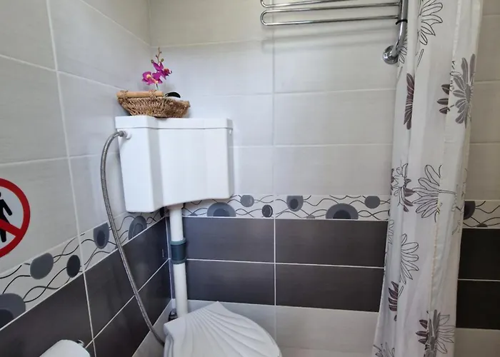 етаж от къща с двор Appartement *